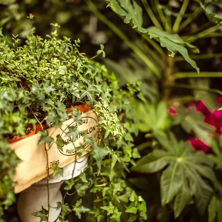 Couette-café La Maison Gobert Particulier