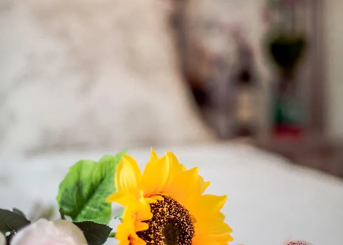 La Maison Gobert Particulier ベッド・アンド・ブレックファスト パリ