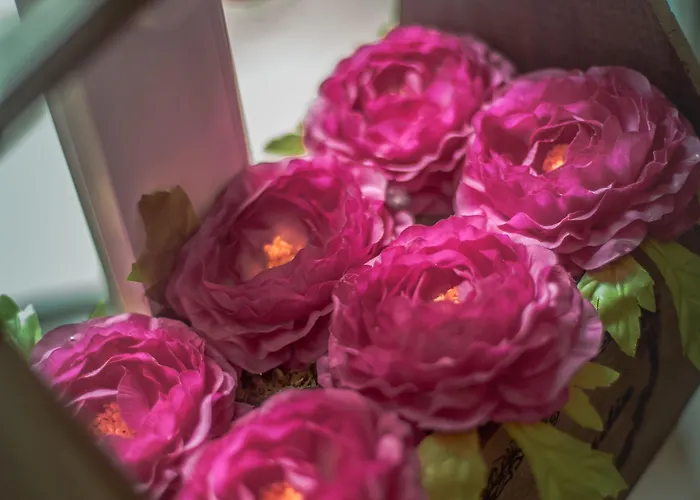 La Maison Gobert Particulier ベッド・アンド・ブレックファスト パリ